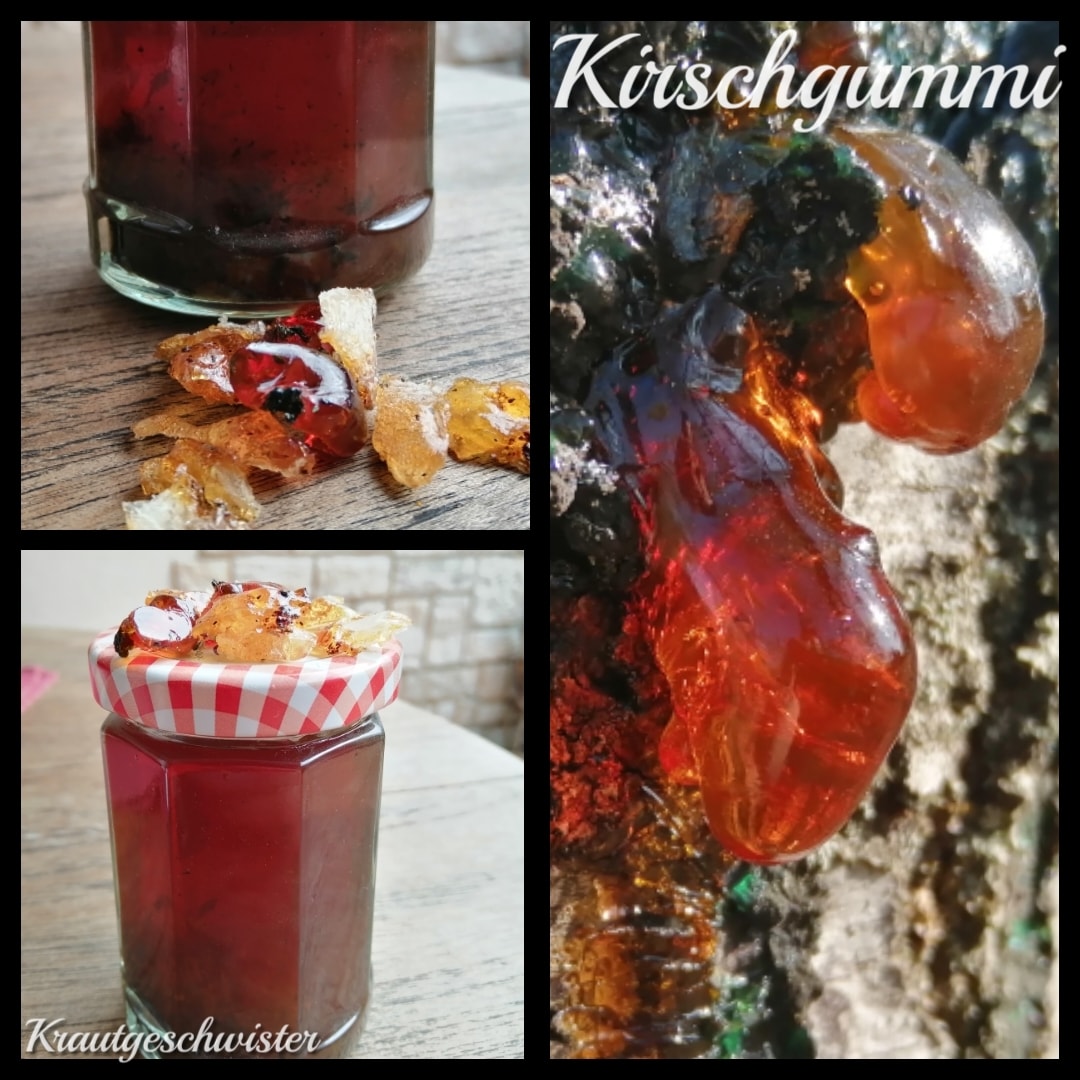 Read more about the article Kirschgummi