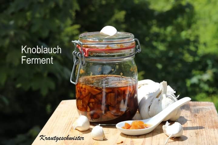 Read more about the article Knoblauchferment