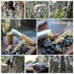 Pech-Lippenpflege * Harz-Lipbalm