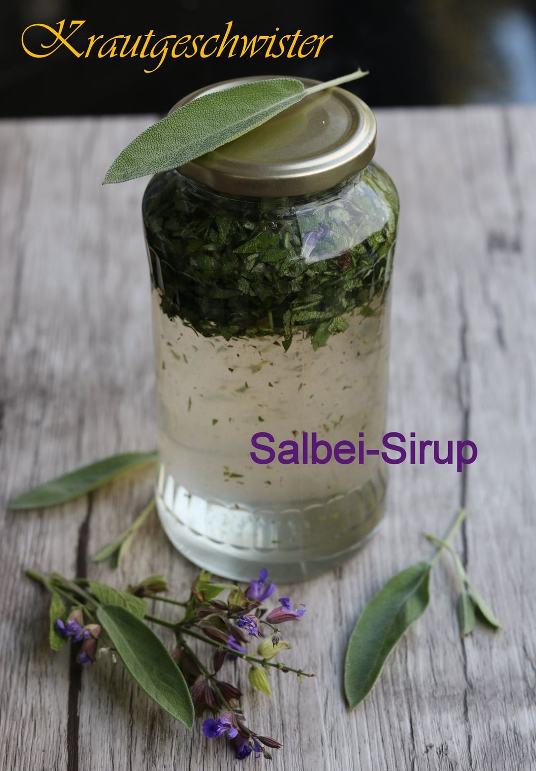 Read more about the article Salbei Heilpflanzenportrait & Sirup-Rezept