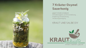 7-Kräuter-Oxymel * Frühlings-Oxymel