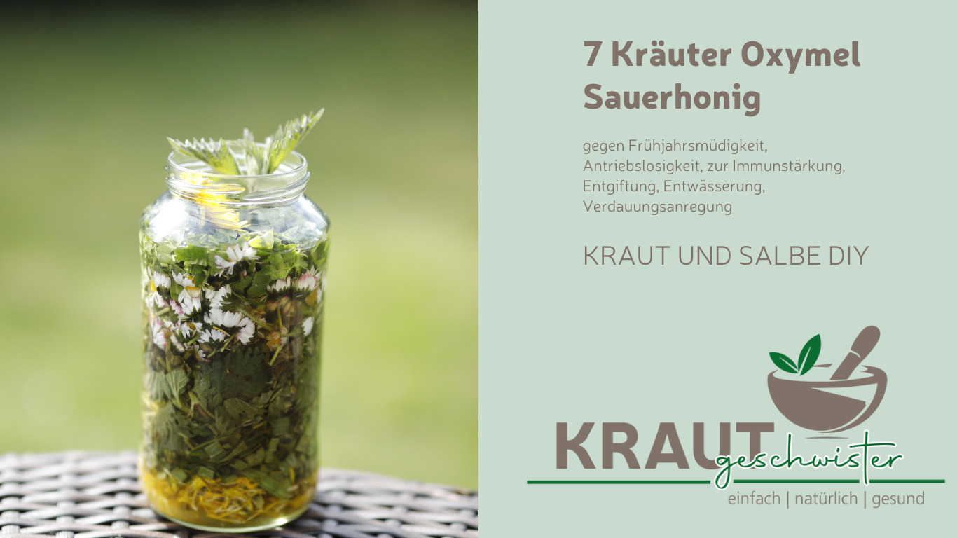 Read more about the article 7-Kräuter-Oxymel * Frühlings-Oxymel