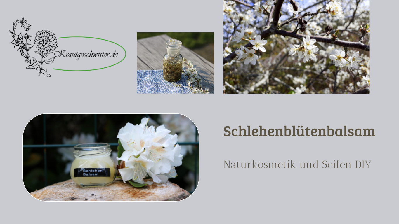 Schlehenblüten-Balsam