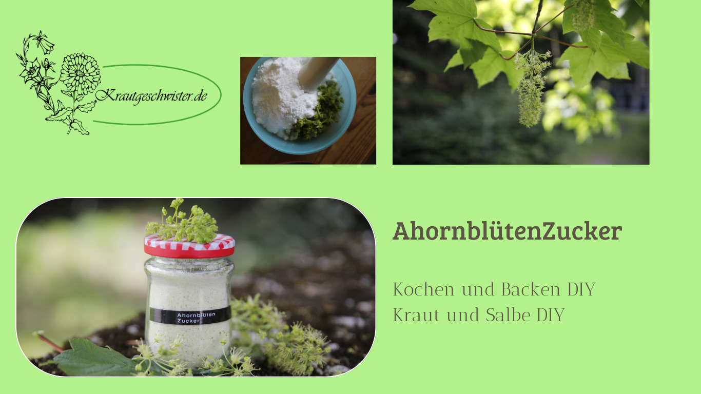 Read more about the article Ahornblütenzucker