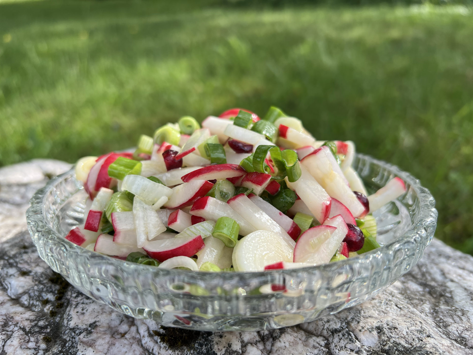 Radieschen-Salat mit Frühlingszwiebel und Granatapfel