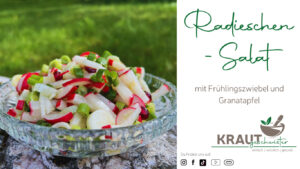 Radieschen-Salat mit Frühlingszwiebel und Granatapfel