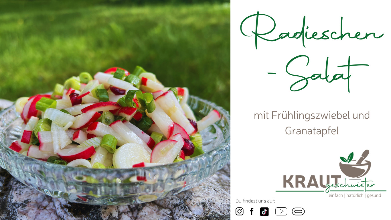 Read more about the article Radieschen-Salat mit Frühlingszwiebel und Granatapfel