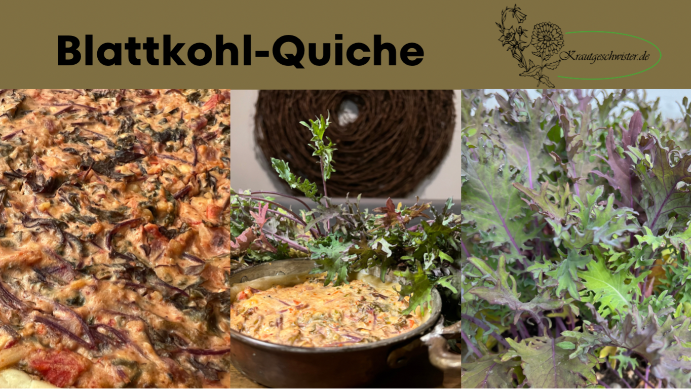 Read more about the article Blattkohl-Quiche