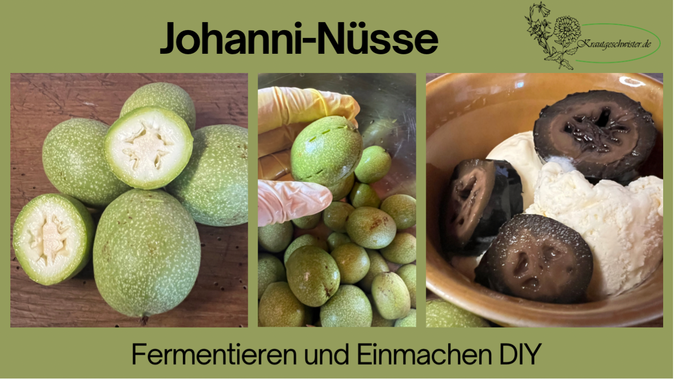 Read more about the article Johanni-Nüsse