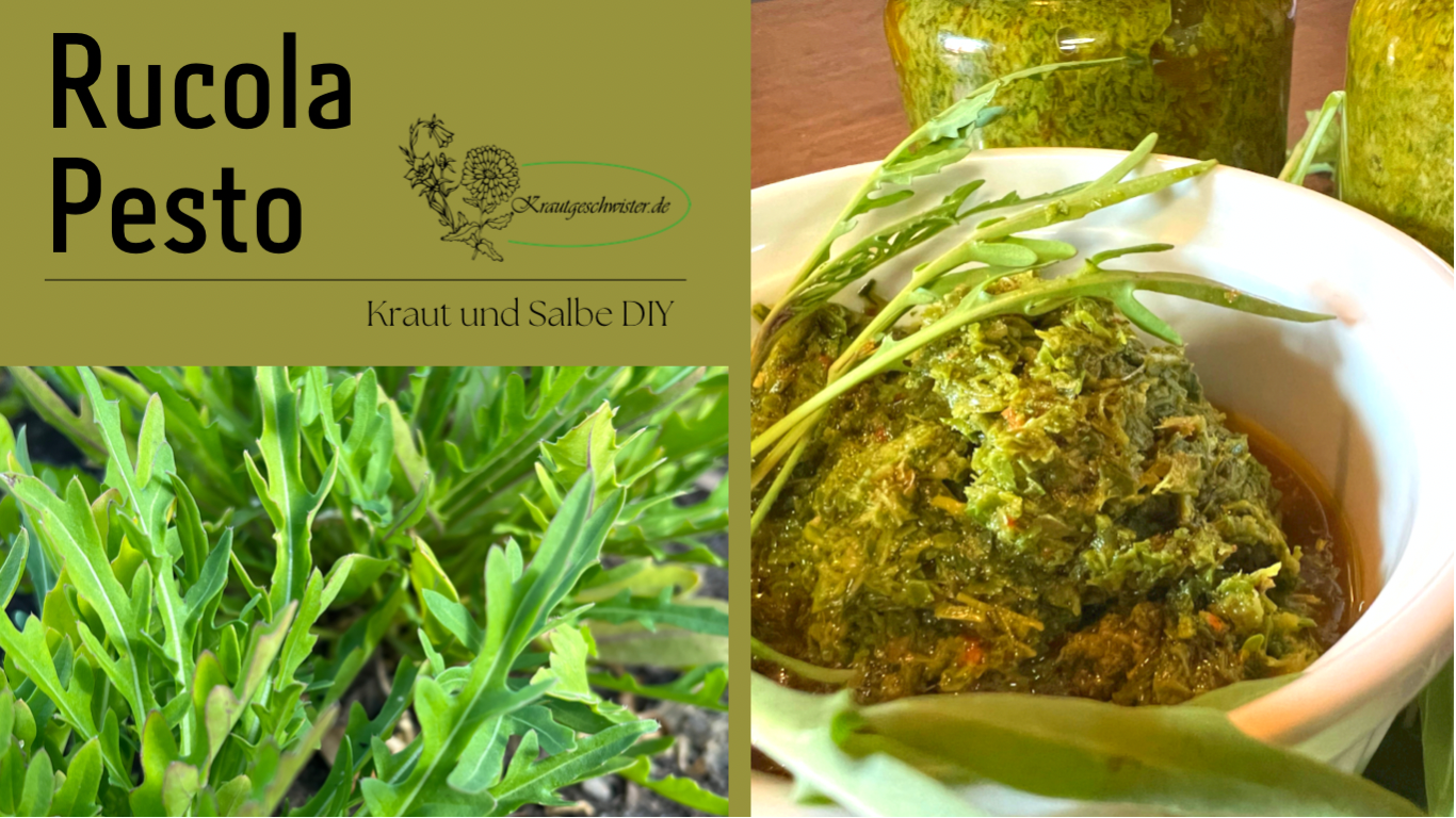 Read more about the article Rucola-Pesto