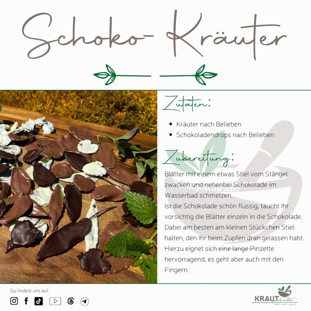Schoko-Kr&auml;uter