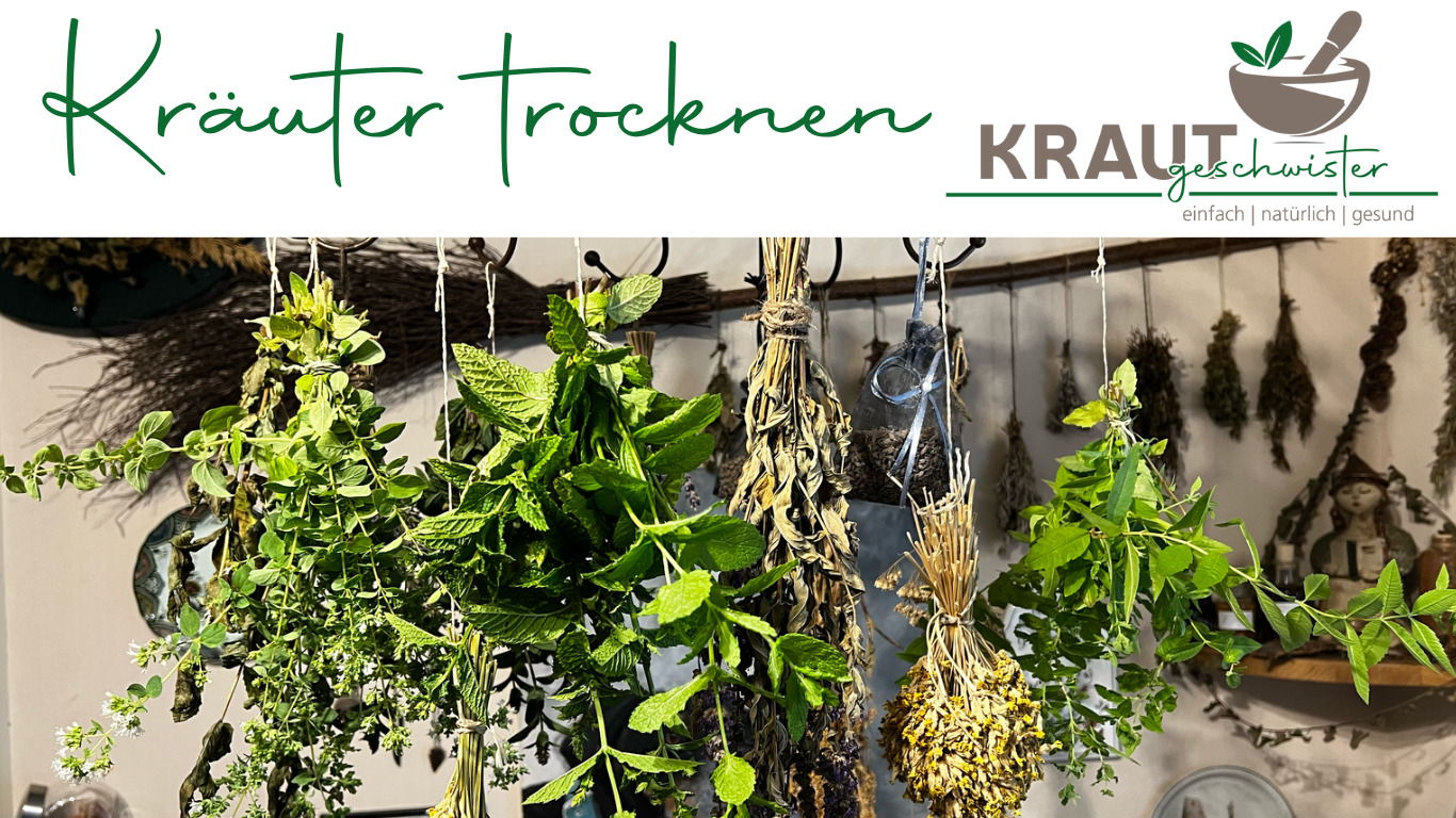 Read more about the article Kräuter trocknen