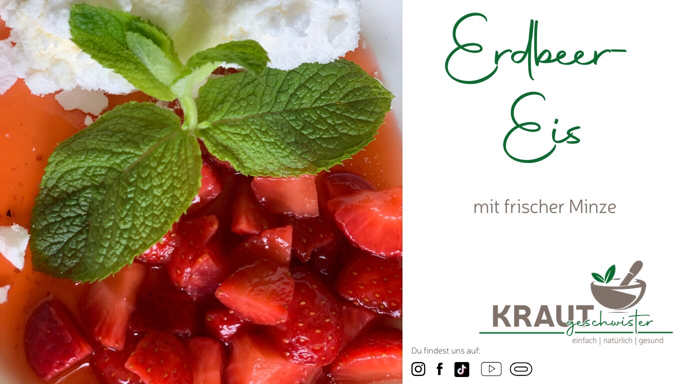 Mehr über den Artikel erfahren Erdbeer-Minz-Eis
