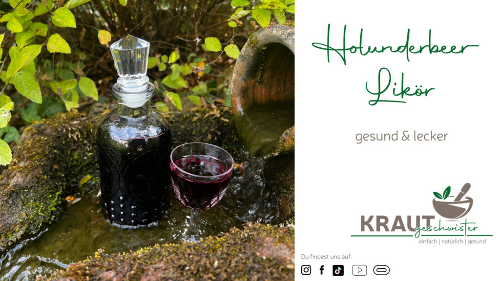 Holunderbeer-Likör - Krautgeschwister