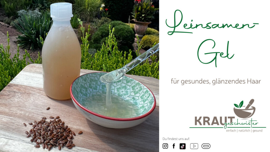 Ingwer-Zitrone-Minze-Sirup - Krautgeschwister