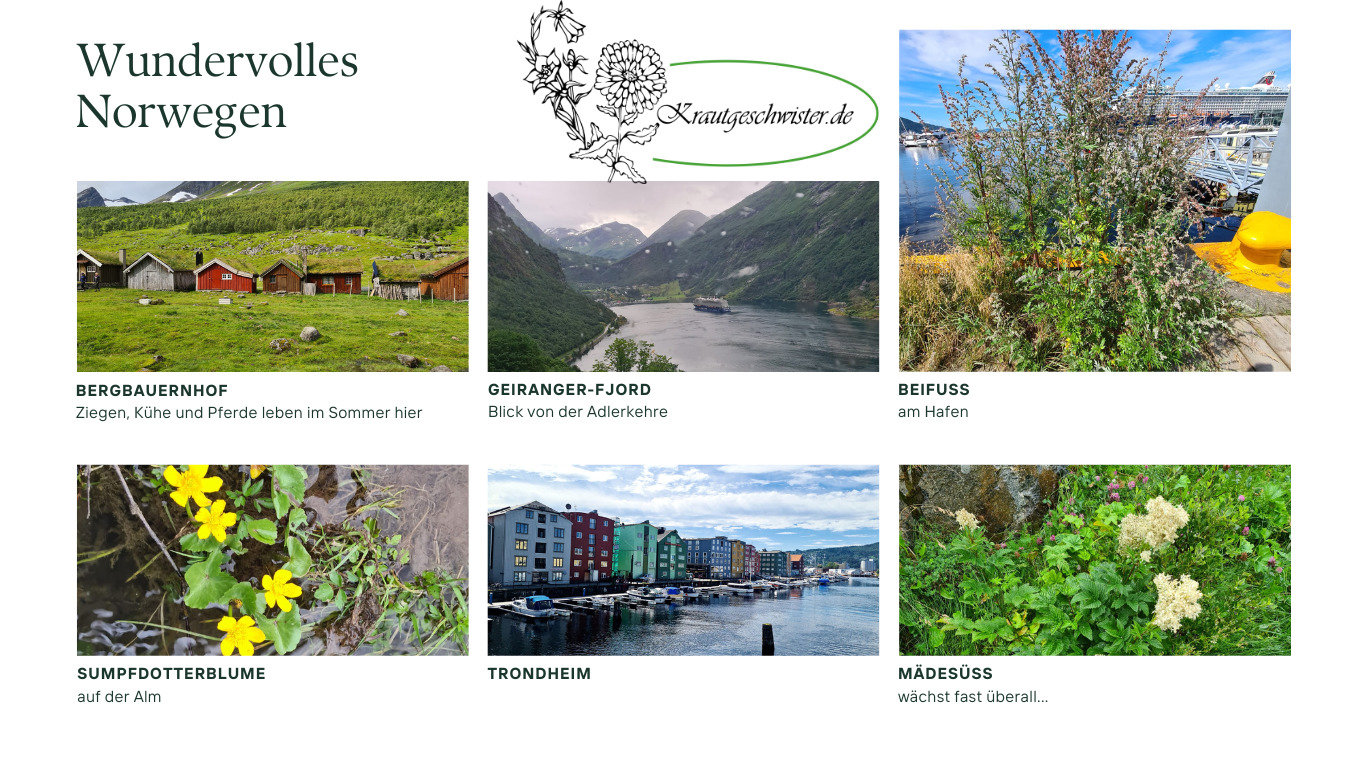 Read more about the article Wundervolles Norwegen – eine Sommerreise