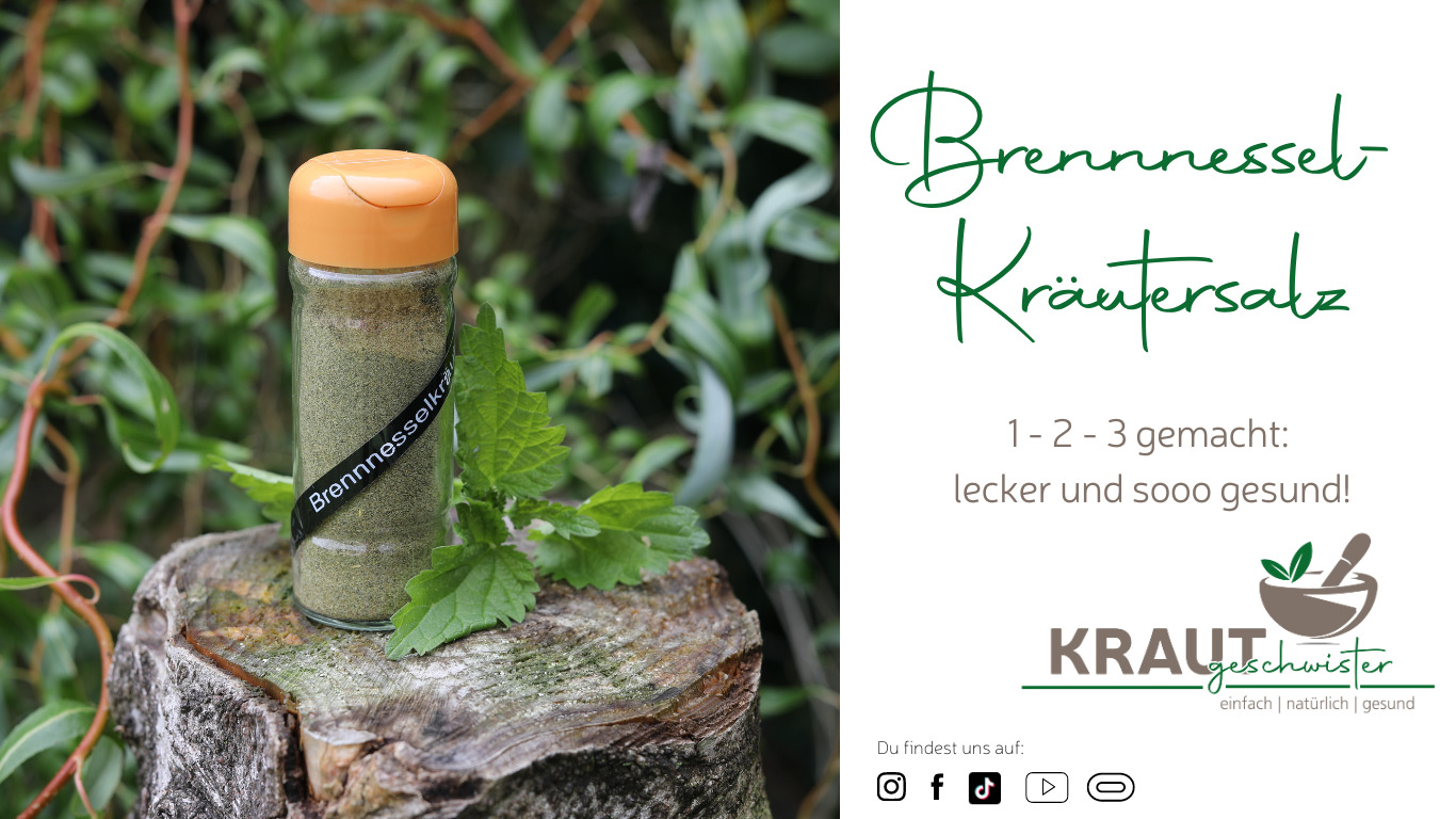 Read more about the article Brennnesselkräutersalz * Brennnesselgewürzmischung * mit und ohne Thermomix®