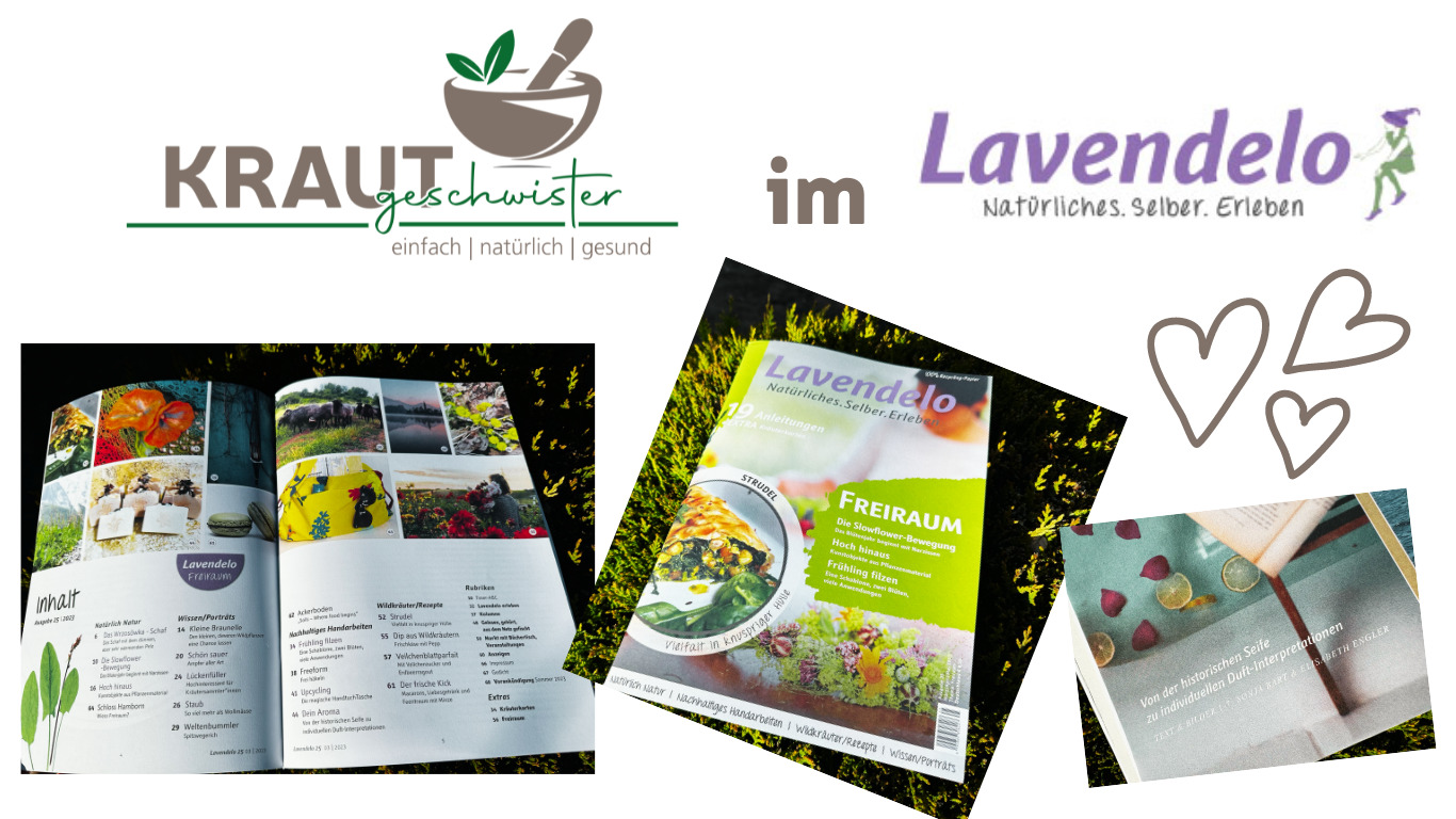 Read more about the article Krautgeschwister in der neuen Lavendelo