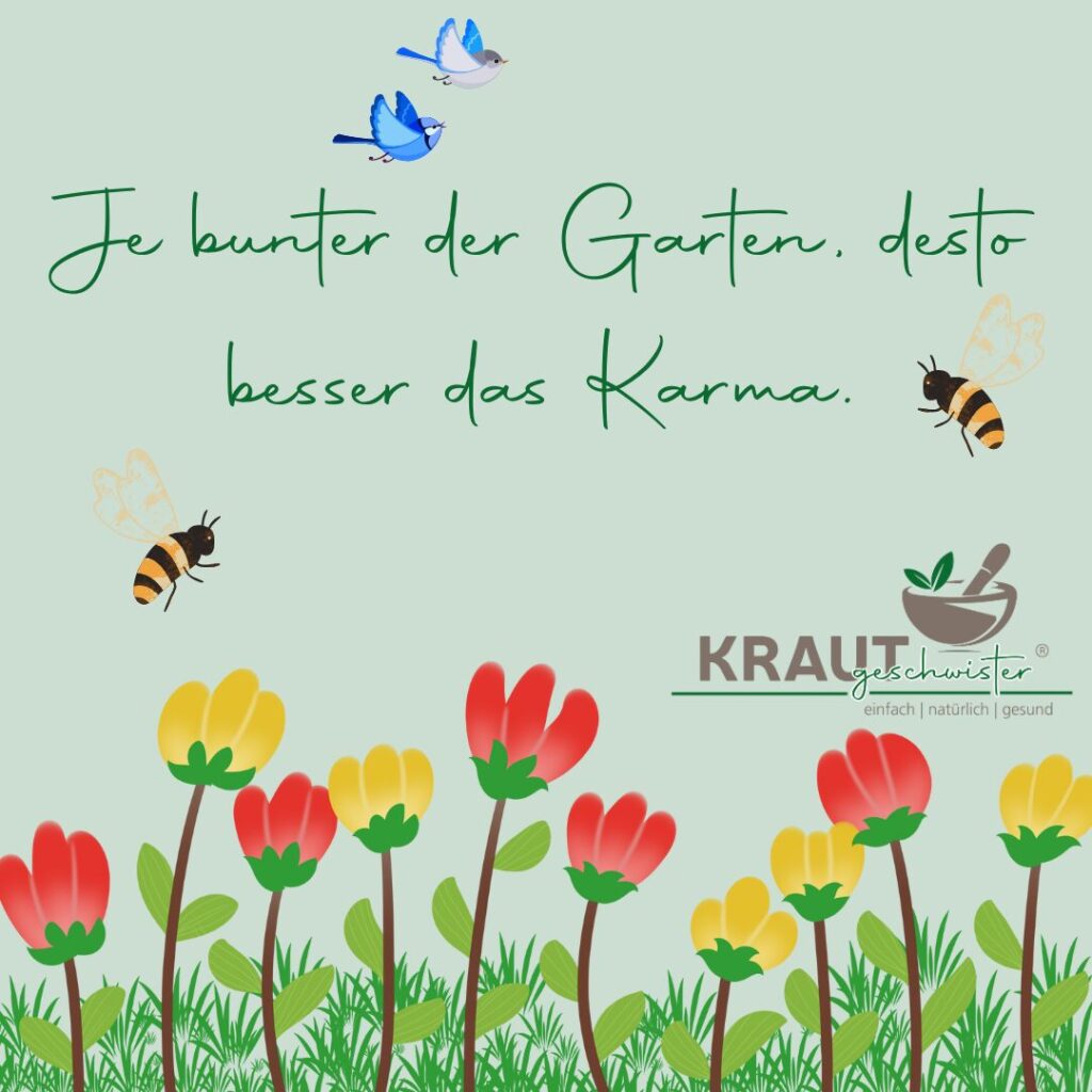 Bilder, Sprüche & Weisheiten