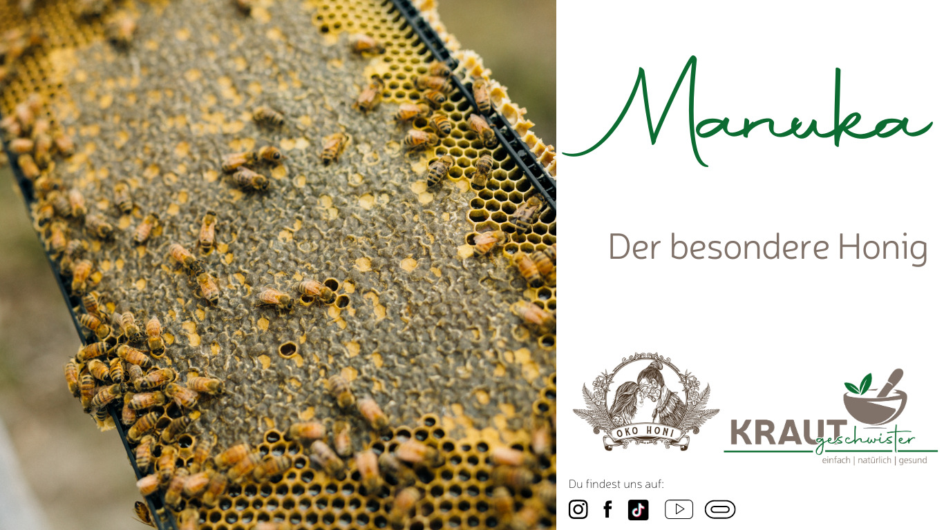 Read more about the article Manuka – der besondere Honig