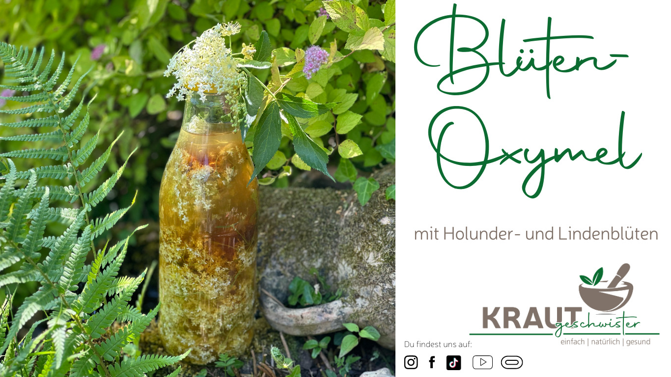 Read more about the article Blüten-Oxymel