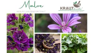 Malven: Die sanfte Kraft der Schleimstoffe
