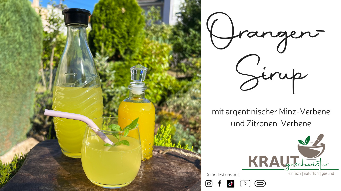 Read more about the article Orangen-Sirup