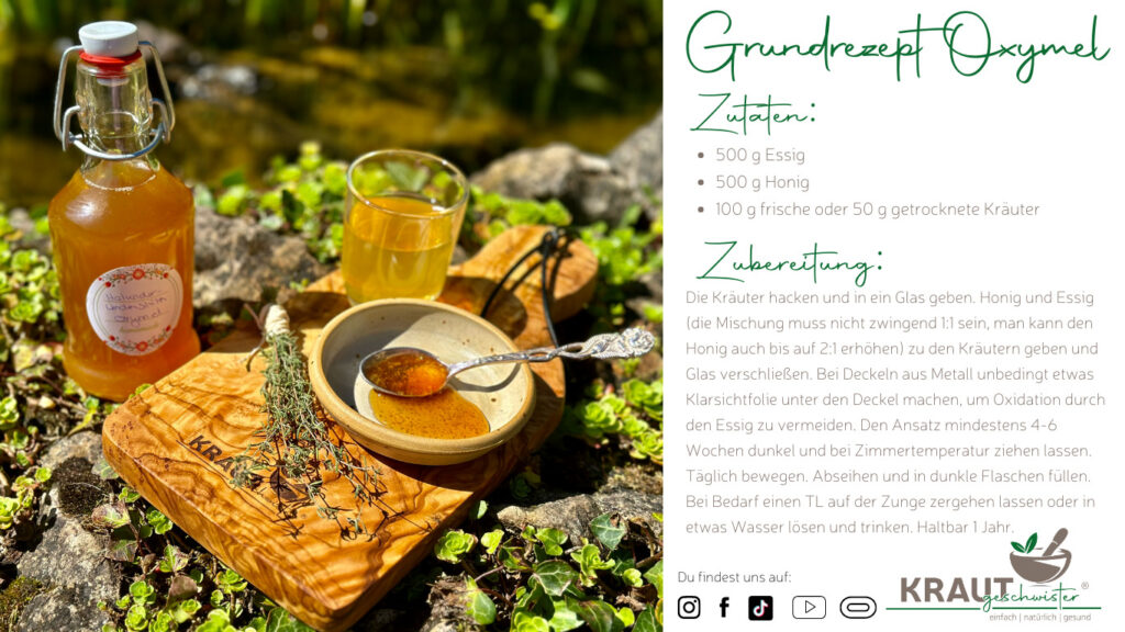 Oxymel Grundrezept