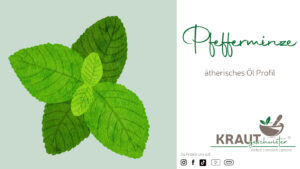 Pfefferminze ätherisches Öl Profil