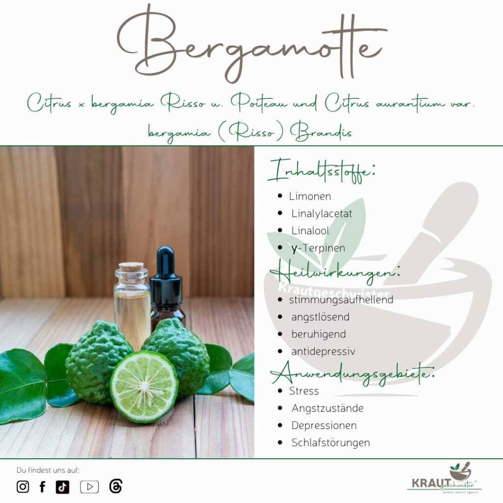 Bergamotte ätherisches Öl Profil
