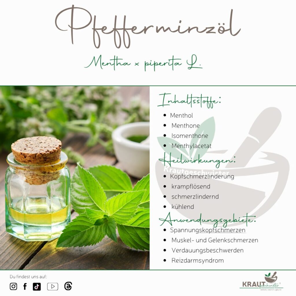 Pfefferminze ätherisches Öl Profil