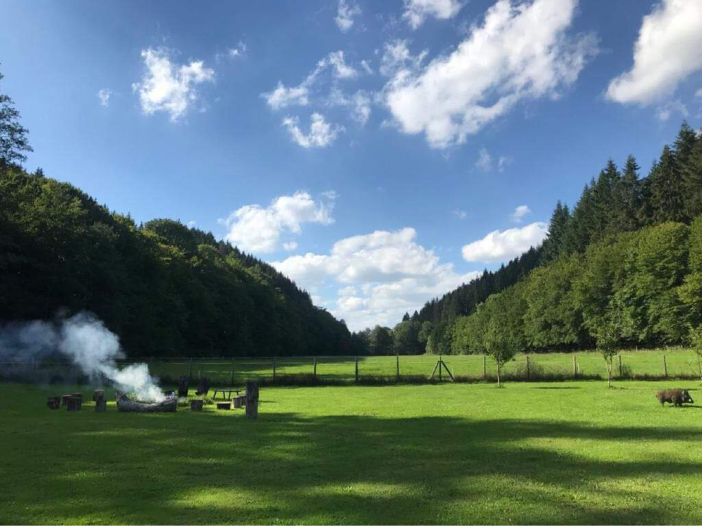 Feuer, Stein und Heilpflanzen &ndash; ein Tag Steinzeitwissen auf der M&uuml;hle in der Eifel