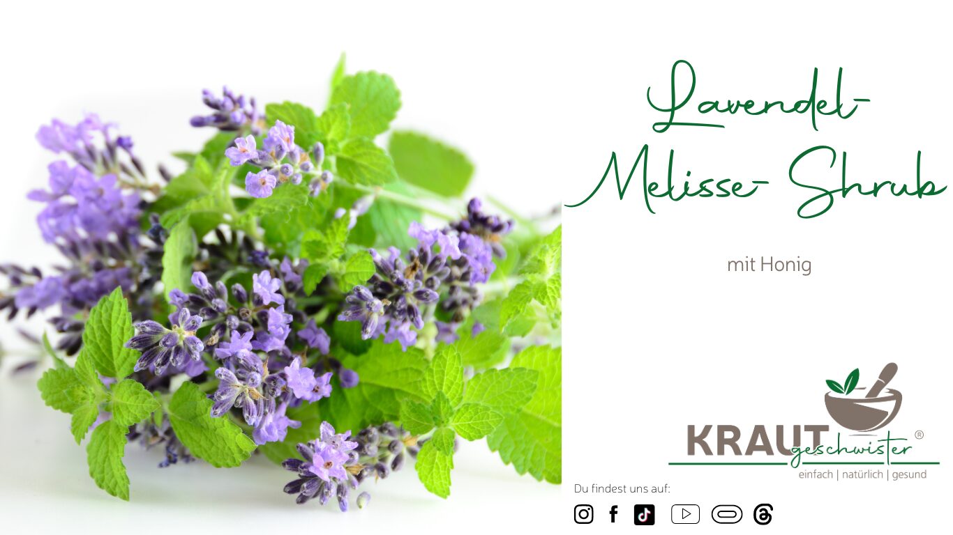 Read more about the article Lavendel-Melisse-Shrub mit Honig