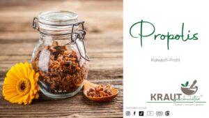 Propolis Rohstoffprofil