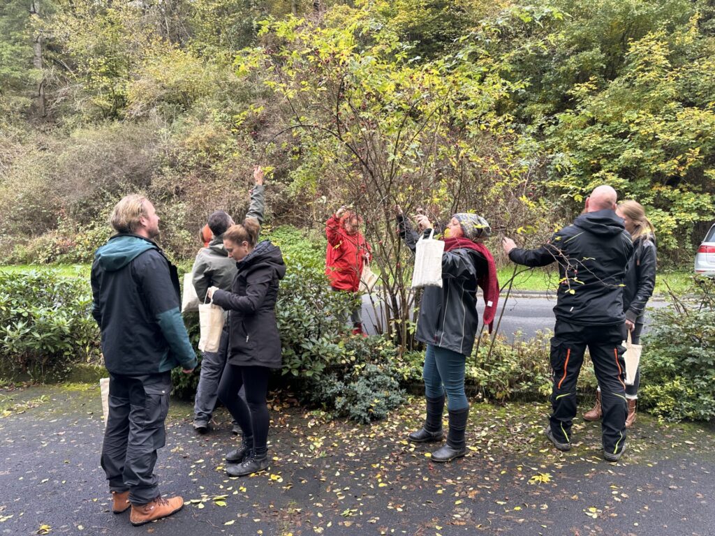 Rückblick auf unsere Veranstaltung &#8222;Back to the Roots &#8211; Von Wurzeln, Beeren und Schmiedekunst&#8220; am 19.10.2024 in der Eifel