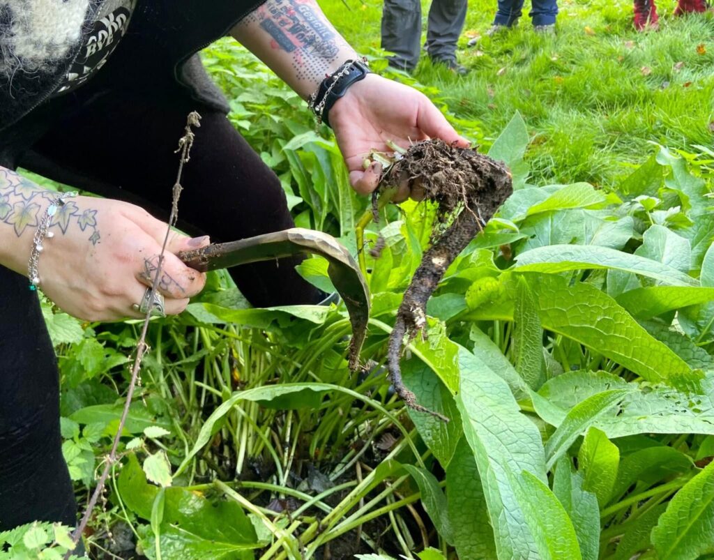 Rückblick auf unsere Veranstaltung &#8222;Back to the Roots &#8211; Von Wurzeln, Beeren und Schmiedekunst&#8220; am 19.10.2024 in der Eifel