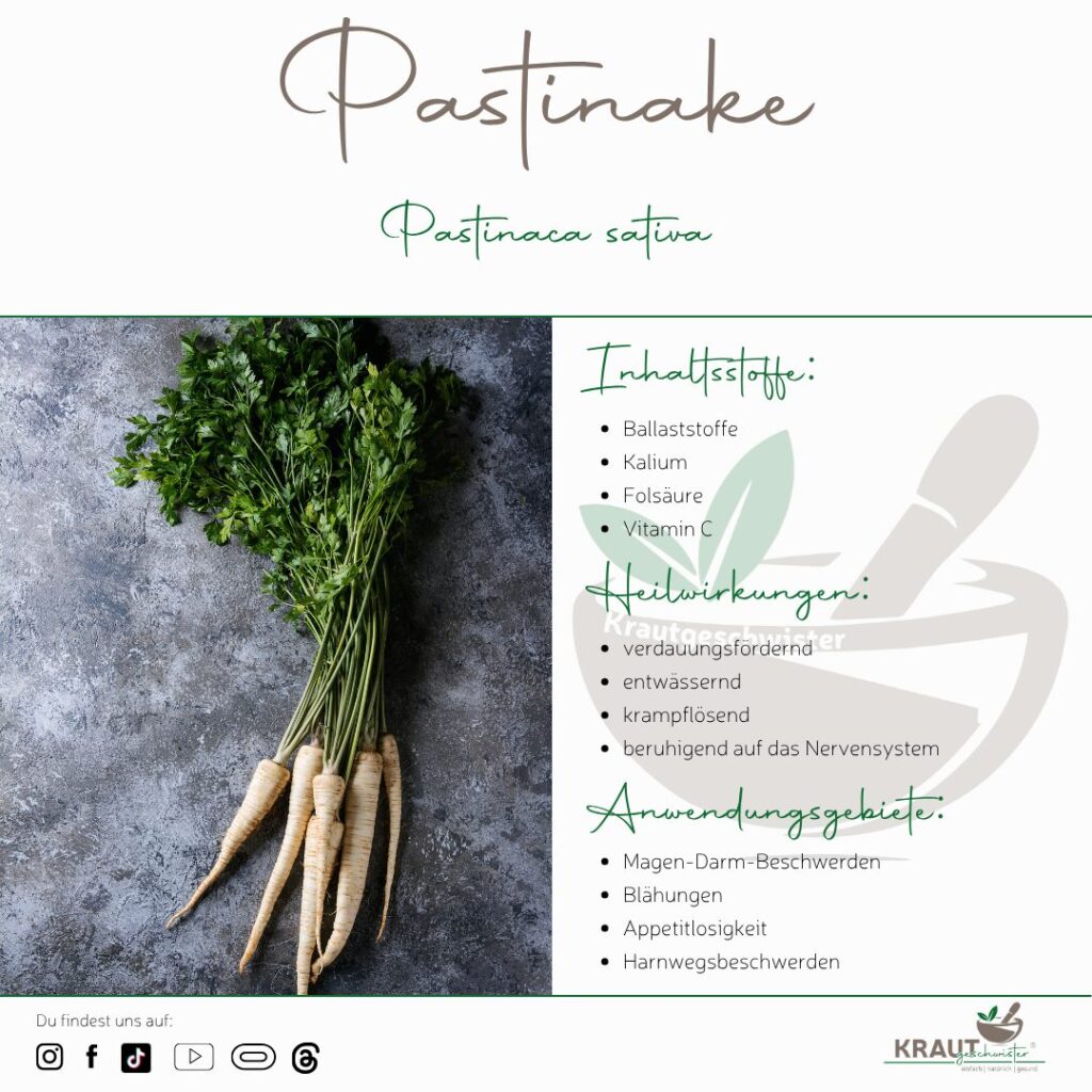 Pastinake – Die milde Kraft aus der Erde