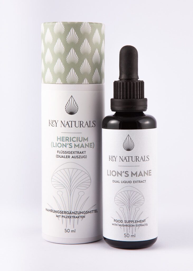 Igel-Stachelbart Heilpilzportrait