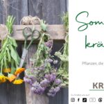 Sommerkräuter und Sonnenseelen