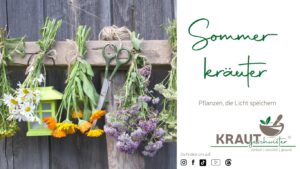 Sommerkr&auml;uter und Sonnenseelen