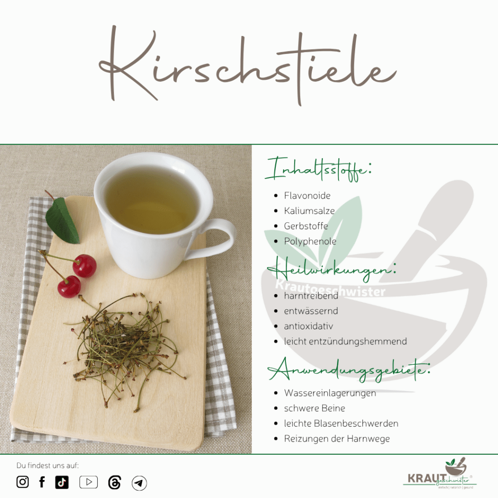 Die vergessene Kraft der Kirschstiele