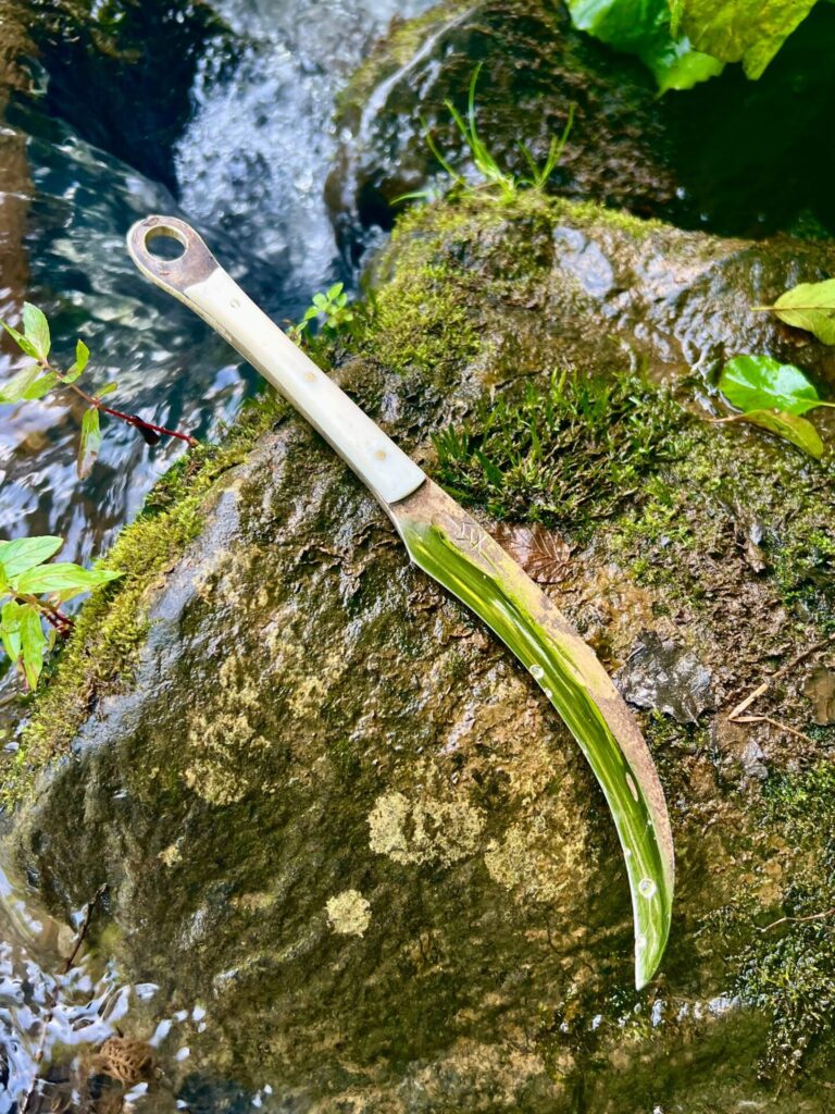 Back to the Roots – Von Wurzeln, Beeren und Schmiedekunst