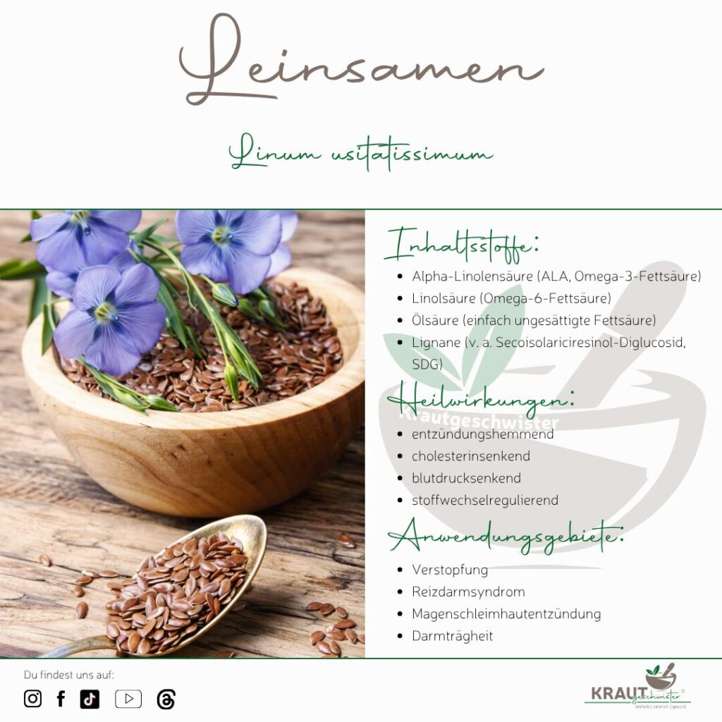 Leinsamen – das stille Kraftpaket