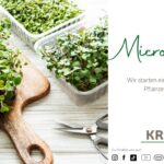 Microgreens: Kleine Kraftpakete für Deine Küche