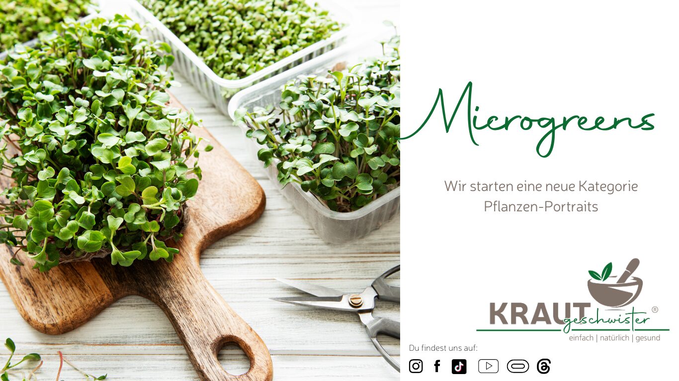 Microgreens: Kleine Kraftpakete für Deine Küche