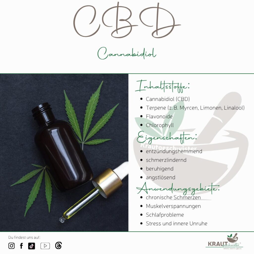 CBD erklärt: Von der Pflanze bis zur Salbe