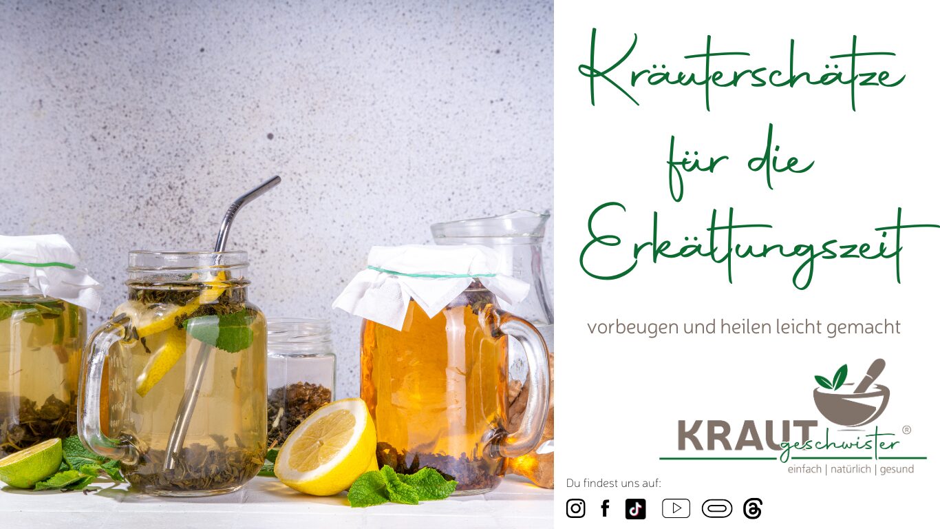 Mehr über den Artikel erfahren Deine Kräuterschätze für die Erkältungszeit 🌿🍵