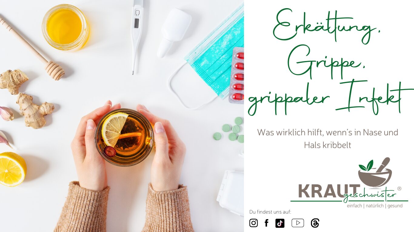 Erkältung, Grippe und grippaler Infekt