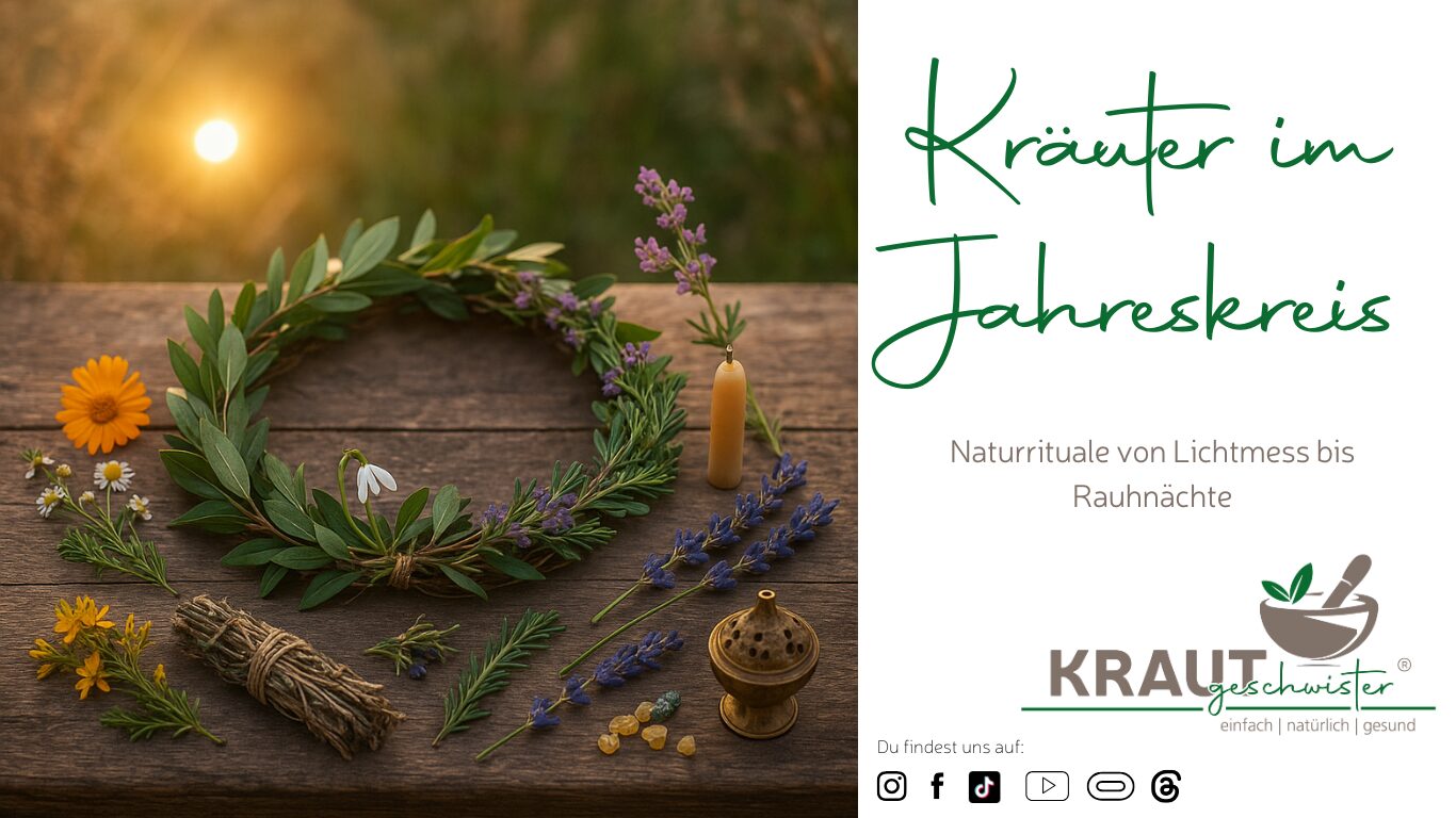 Mehr über den Artikel erfahren Kräuter im Jahreskreis – Naturrituale von Lichtmess bis Rauhnächte