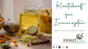 Kräuterkraft fürs Immunsystem